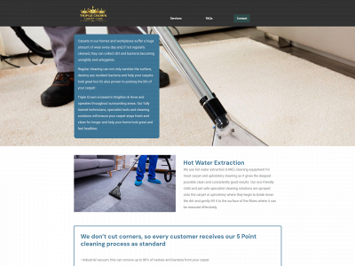 triplecrowncarpetcare.com snapshot