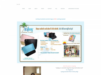 www.icybag.net snapshot