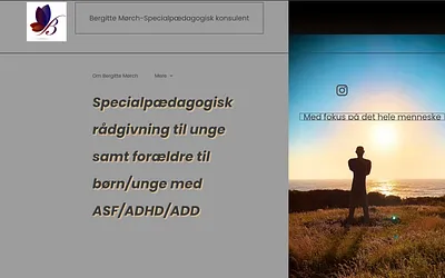 specialkonsulenten.com snapshot