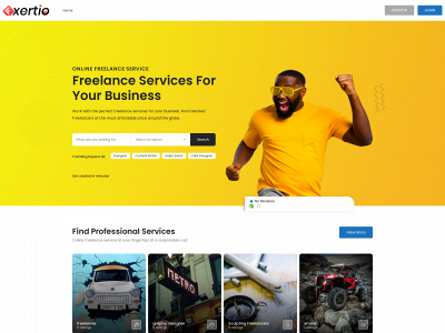 onlinefreelanceservice.com snapshot