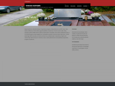 viskaskapams.lt snapshot