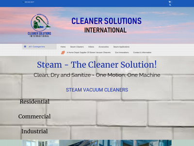 cleanersolutionsintl.com snapshot