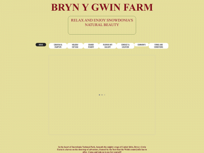 brynygwin.co.uk snapshot