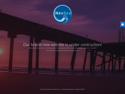 nessea.uk snapshot