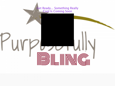 purposefullybling.com snapshot