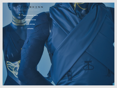 thykskynn.com snapshot