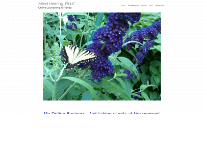 mindhealinginflorida.com snapshot
