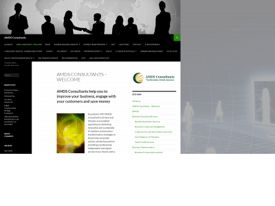 amds-consultants.com snapshot