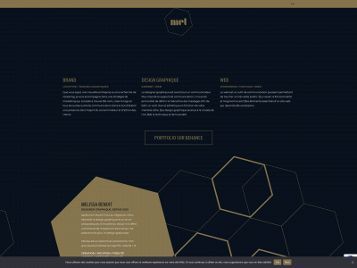 artsurmesure.ca snapshot