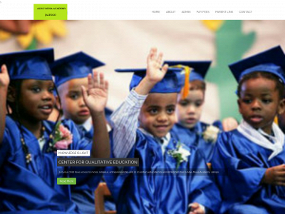 aliyumusaacademy.com.ng snapshot