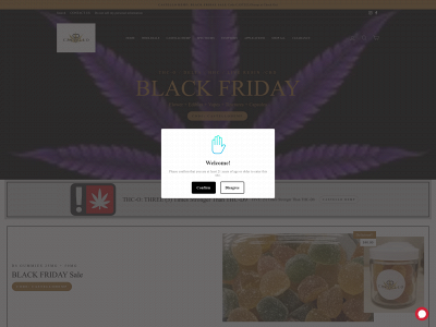 castellohemp.com snapshot