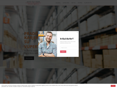vuperta.lt snapshot