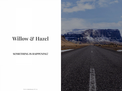 www.willowandhazel.com snapshot