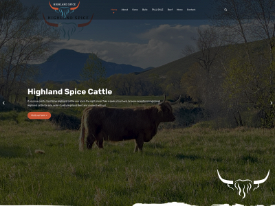 highlandspice.net snapshot