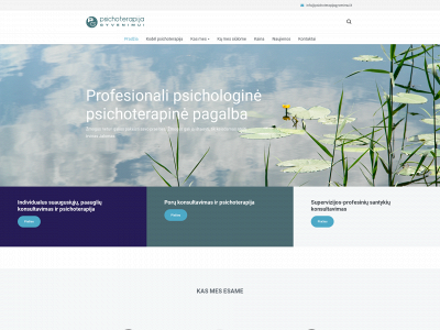 psichoterapijagyvenimui.lt snapshot