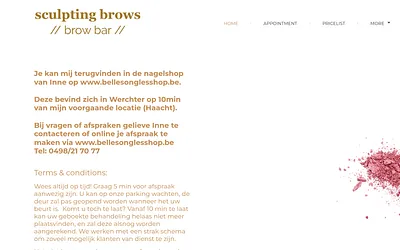 sculptingbrows.be snapshot
