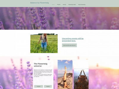 flowertwig.dk snapshot
