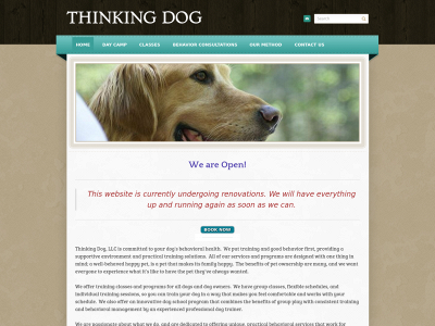 thinkingdognc.com snapshot