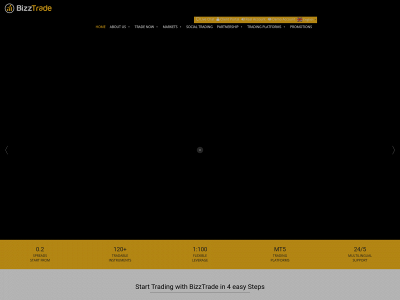 bizztradeforex.com snapshot