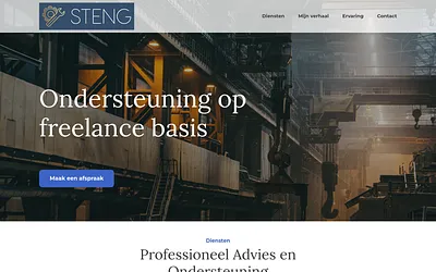 steng.consulting snapshot