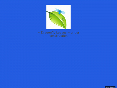 dragonflyleaves.com snapshot