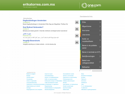 erikatorres.com.mx snapshot