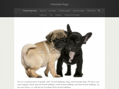 frenchie-pugs.com snapshot