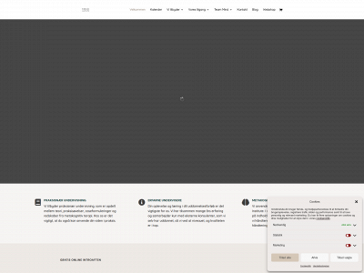 mindinstitute.dk snapshot