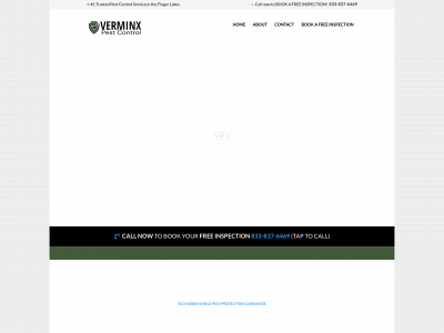 verminx.net snapshot