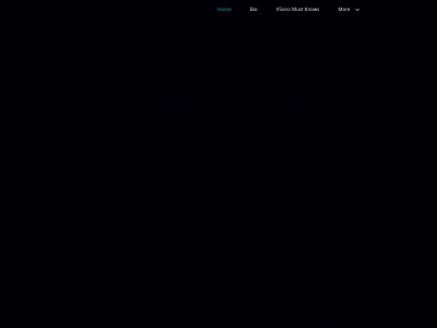 vsono.com snapshot