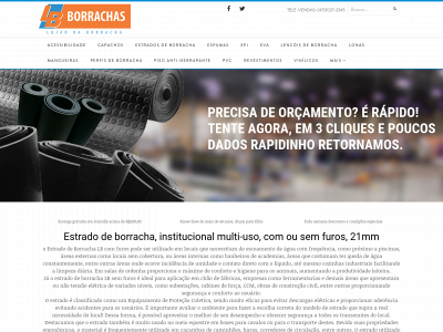 lbborrachas.com.br snapshot