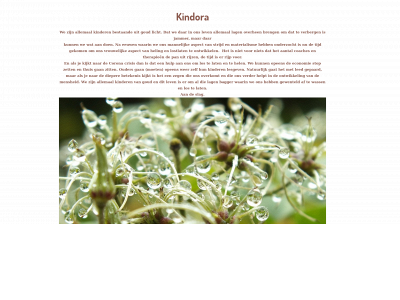 kindora.nu snapshot