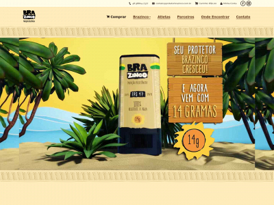 protetorbrazinco.com.br snapshot