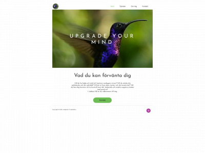 upgradeyourmind.se snapshot