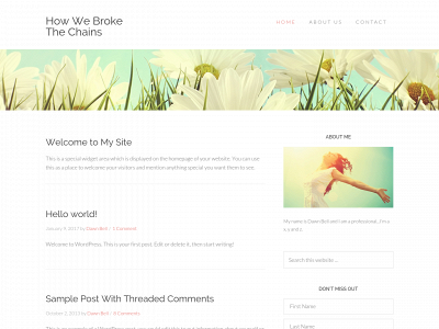 howwebrokethechains.com snapshot