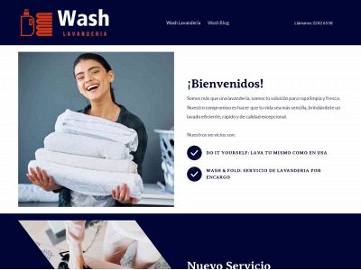 washlavanderia.com snapshot