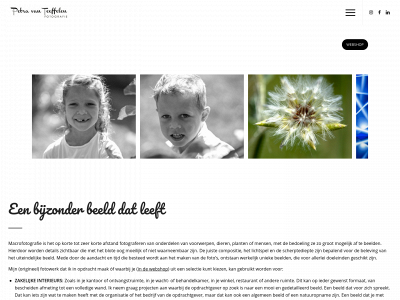 petravanteeffelen.nl snapshot