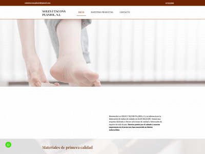solesitaconsplaniol.com snapshot