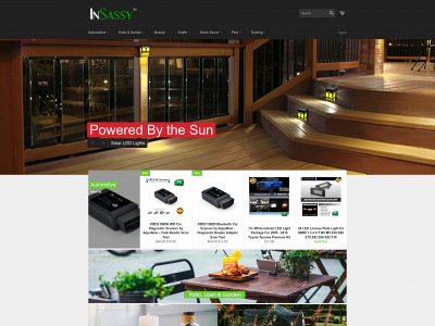 insassy.com snapshot