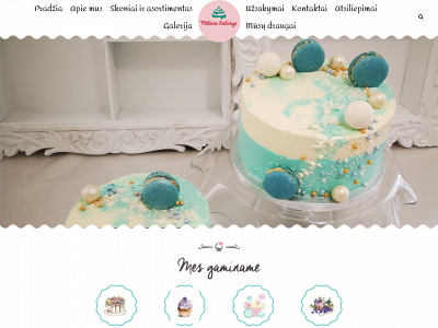 metinisbucinys.lt snapshot