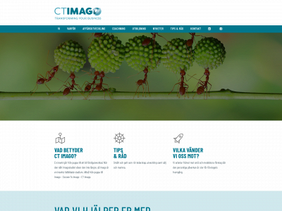 ctimago.se snapshot