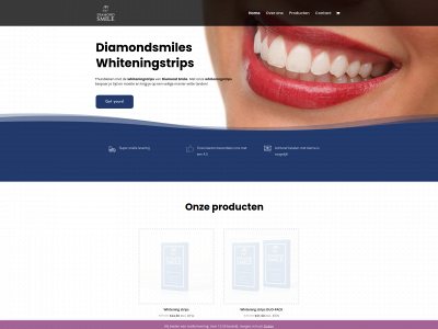diamondsmiles.nl snapshot