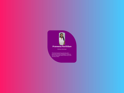 pravee.co.uk snapshot