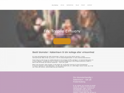 frk-trepile-erhverv.dk snapshot