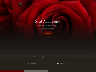 slutacademie.com snapshot