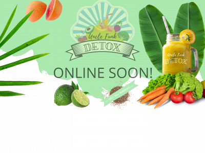 unclefunkdetox.nl snapshot