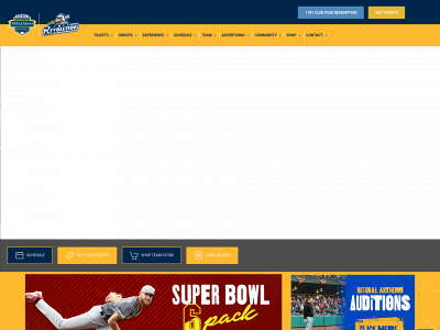 www.yorkrevolution.com snapshot