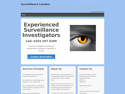 surveillancelondon.com snapshot