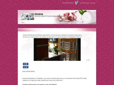 www.migesa.es snapshot