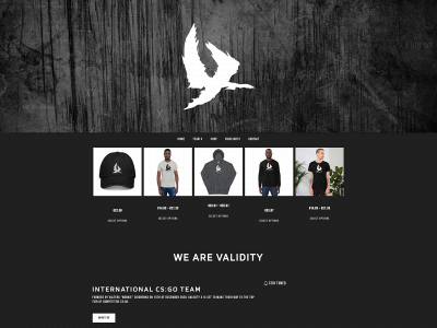 validityx.com snapshot